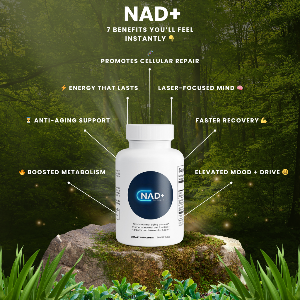 NAD+ Recharged