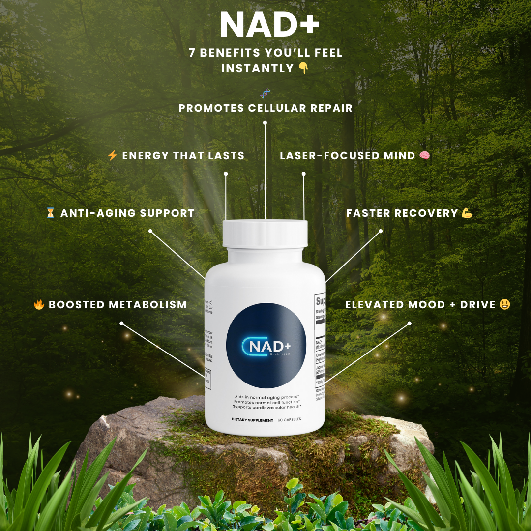 NAD+ Recharged